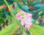 Flowers in the field