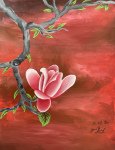 Magnolia flower with red background