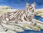 Resting tiger
